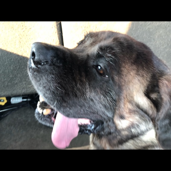 Meet your Posher, Jason - Picture 4 of 5